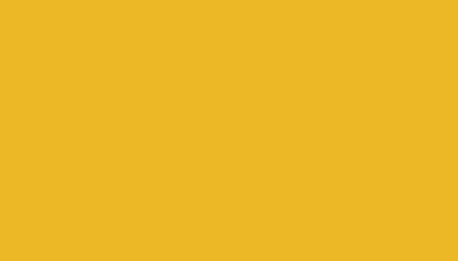 fond-jaune copy