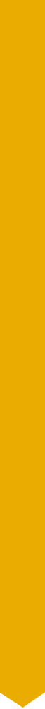 trait-jaunepng