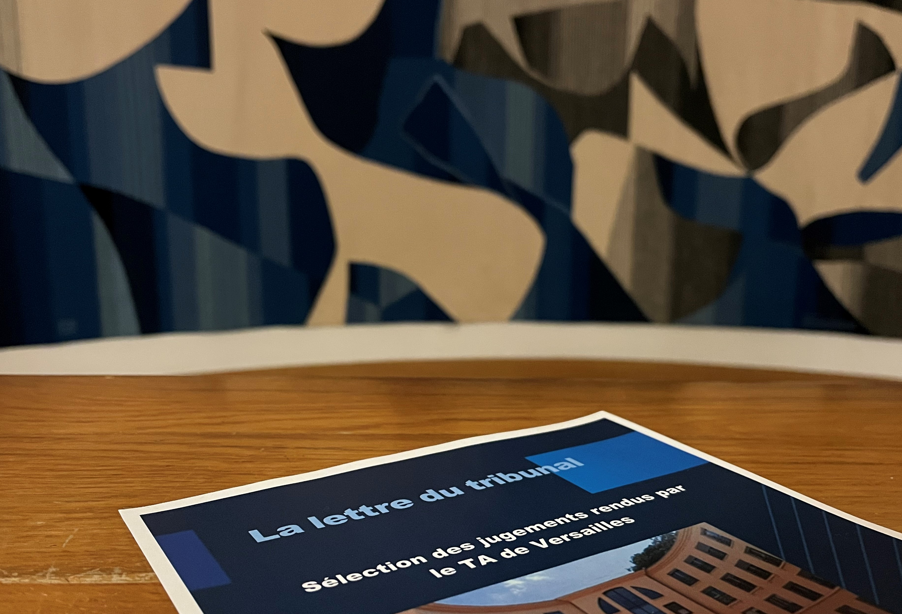 Lettre de jurisprudence n° 5 - Juillet Aout 2024