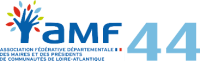 AMF.png