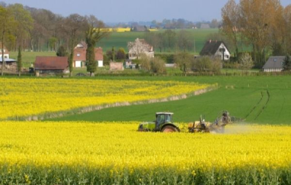 photo d'un tracteur dans un champ