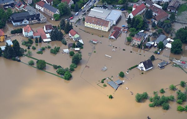 Dereglement climat