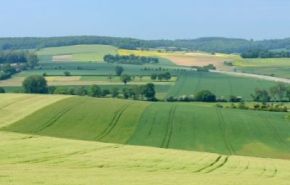 avis_foncier_agricole