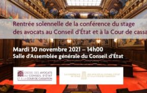 Conférence du stage des avocats aux conseils